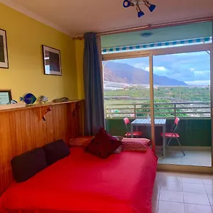 https://sunny-bird-puerto-naos-sol-y-playa.in-canary-islands.com